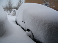 Snow 2007
